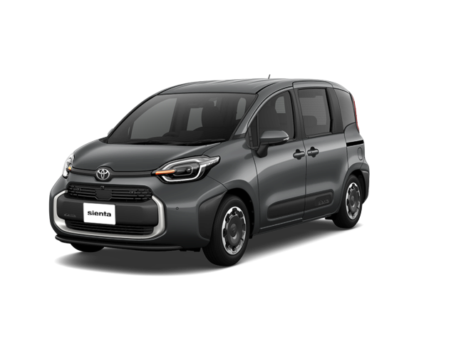 Dark Gray(1L7)